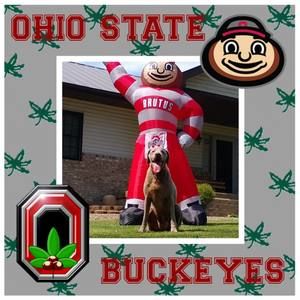 Meet your Posher, Cara